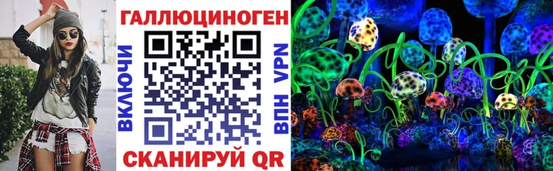 Купить  Курлово  Галлюциногенные грибы GOLDEN TEACHER 